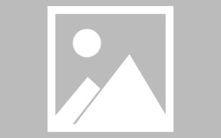 聊城河池网站建设升级项目（广西河池网河池政府网）